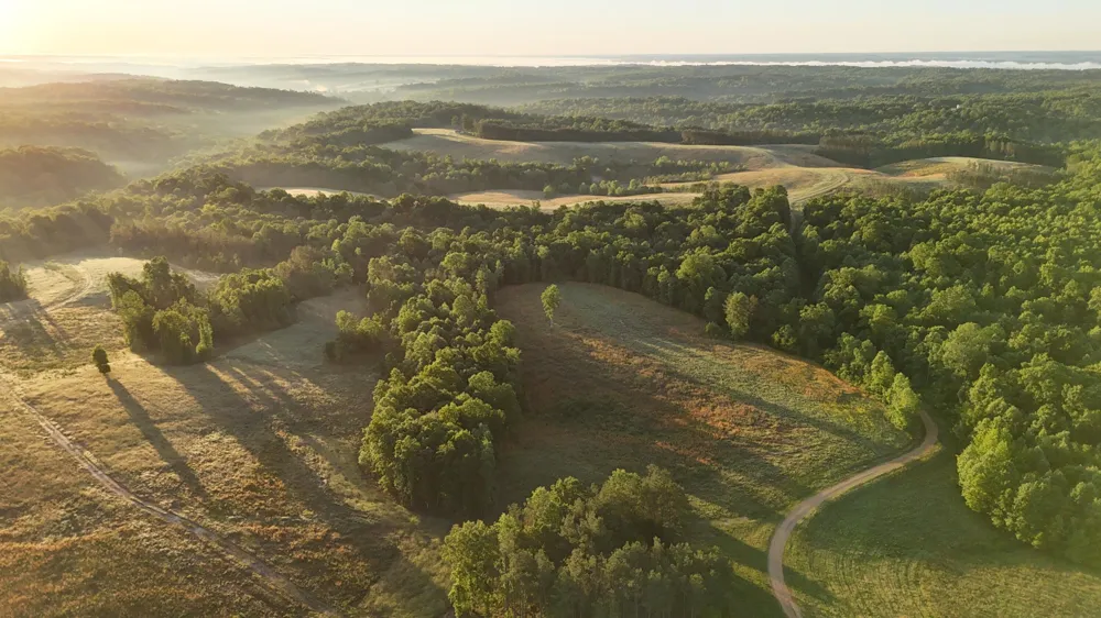 7 Mile Ridge Road Indian Mound, TN 37079