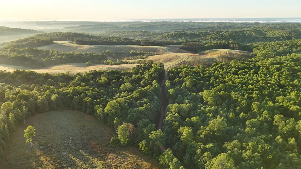 7 Mile Ridge Road Indian Mound, TN 37079