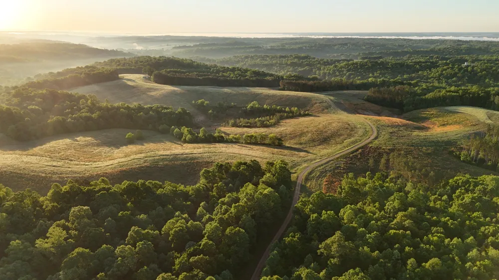 7 Mile Ridge Road Indian Mound, TN 37079