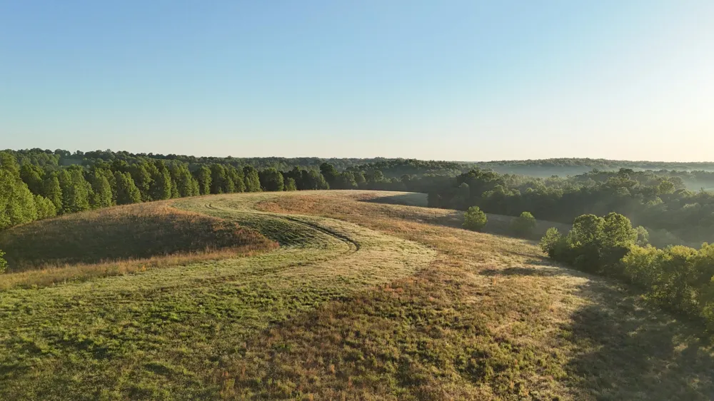 7 Mile Ridge Road Indian Mound, TN 37079