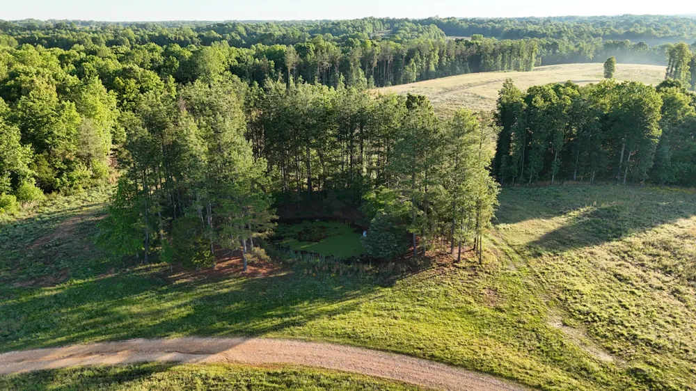 7 Mile Ridge Road Indian Mound, TN 37079
