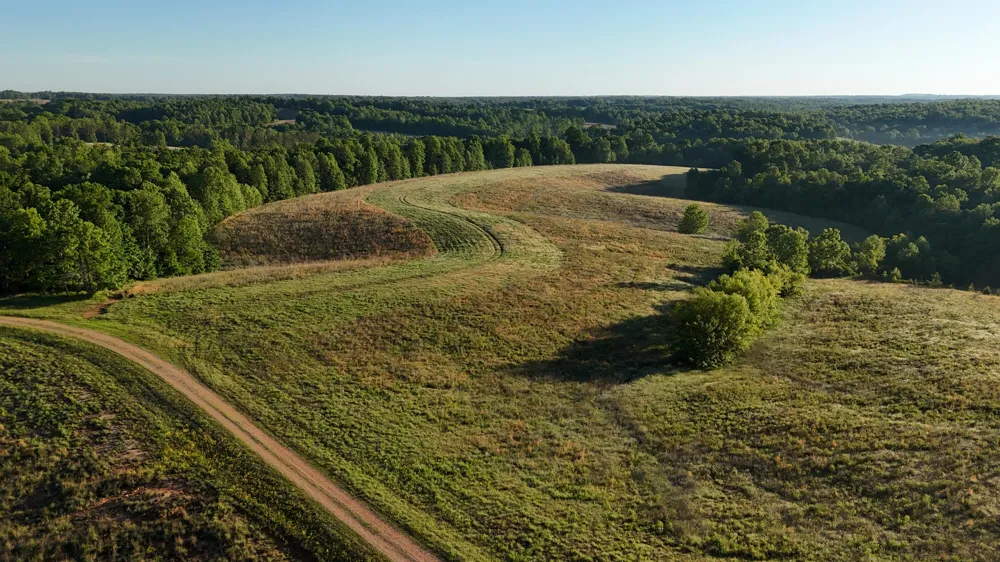 7 Mile Ridge Road Indian Mound, TN 37079