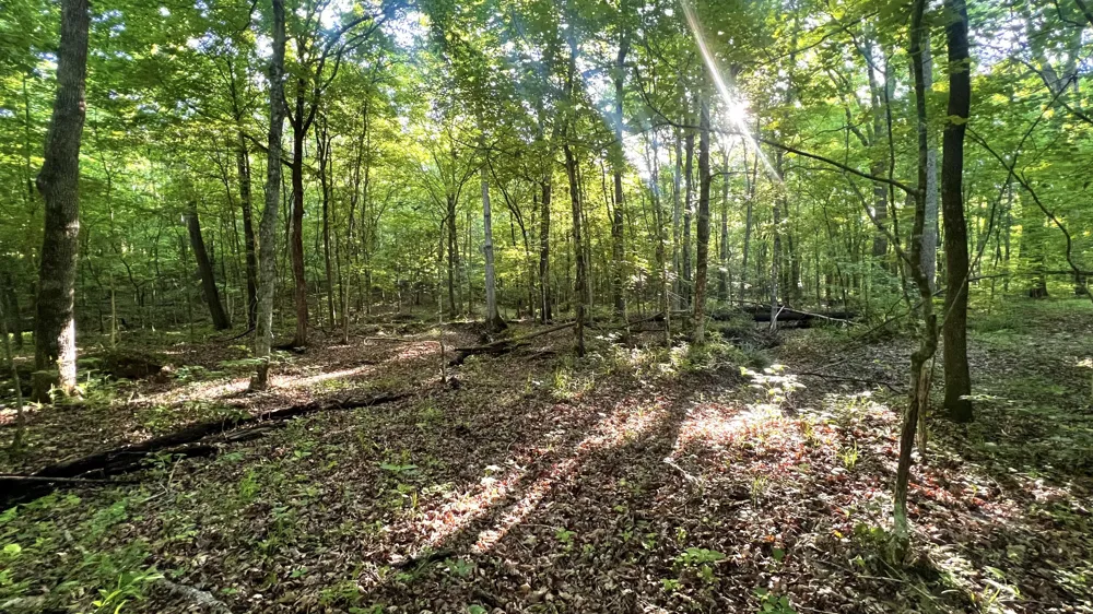 7 Mile Ridge Road Indian Mound, TN 37079