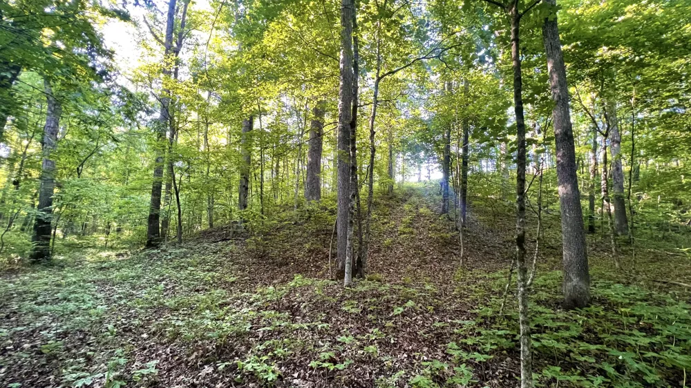 7 Mile Ridge Road Indian Mound, TN 37079