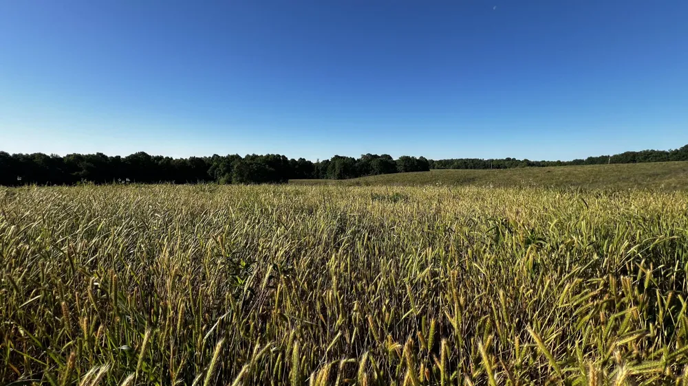 7 Mile Ridge Road Indian Mound, TN 37079