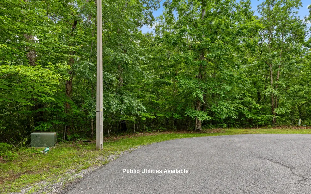 41 Quill Haven Drive Signal Mountain, TN 37377