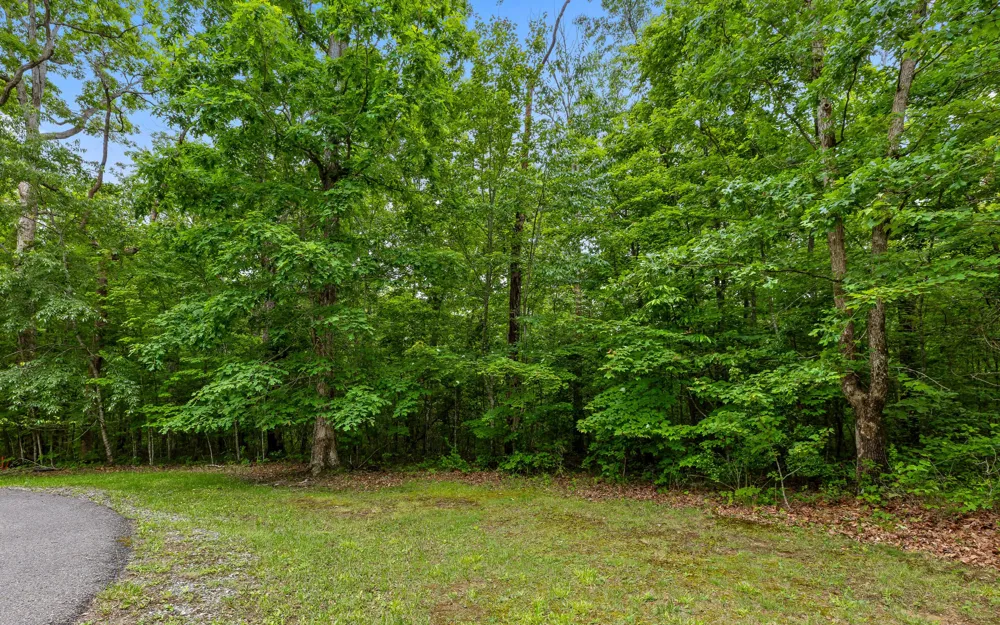 41 Quill Haven Drive Signal Mountain, TN 37377