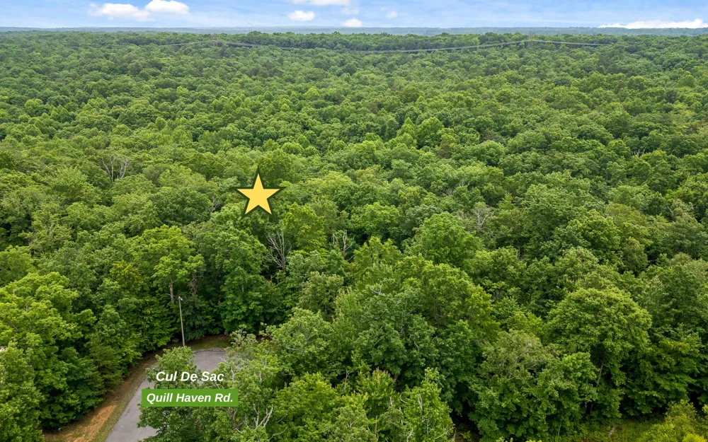 41 Quill Haven Drive Signal Mountain, TN 37377