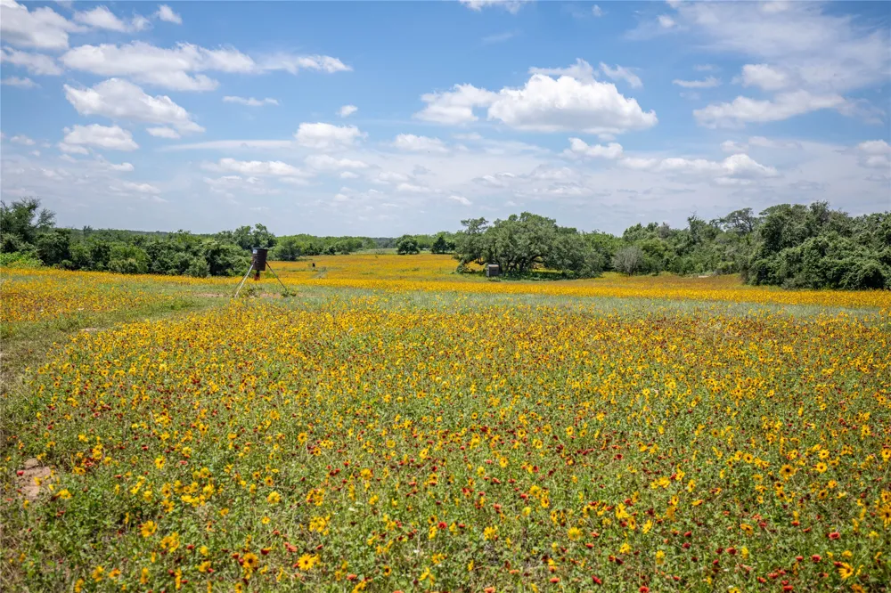 9393 Us Highway 87 E Westhoff, TX 77994