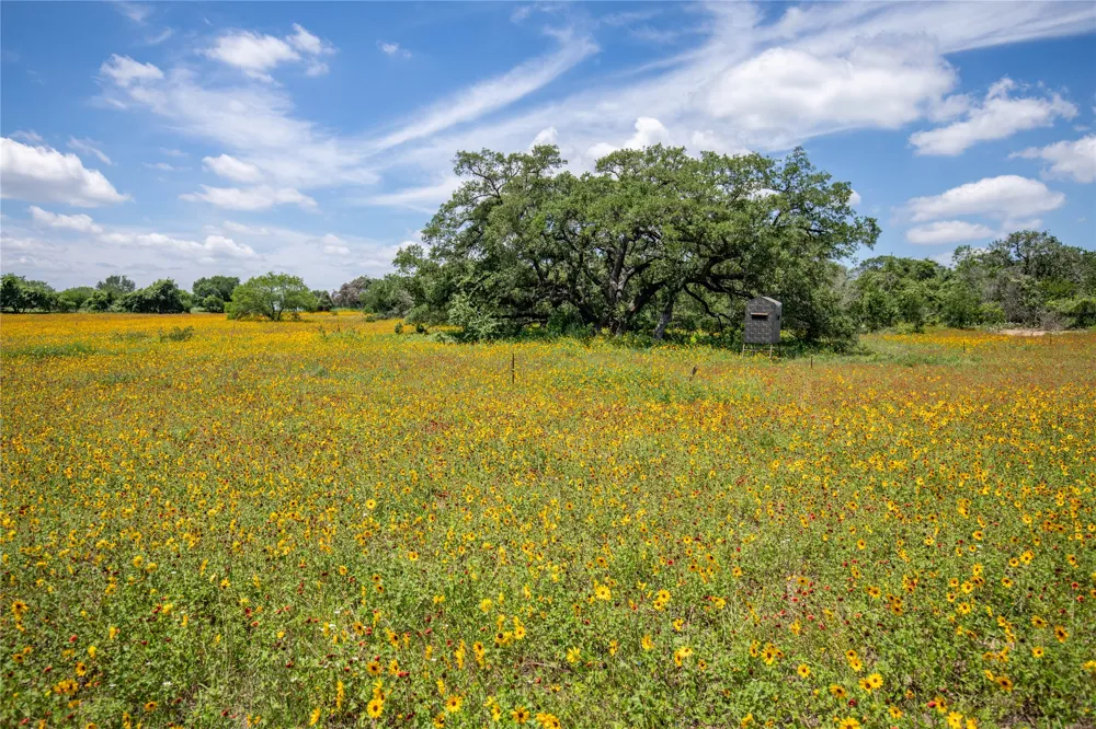 9393 Us Highway 87 E Westhoff, TX 77994