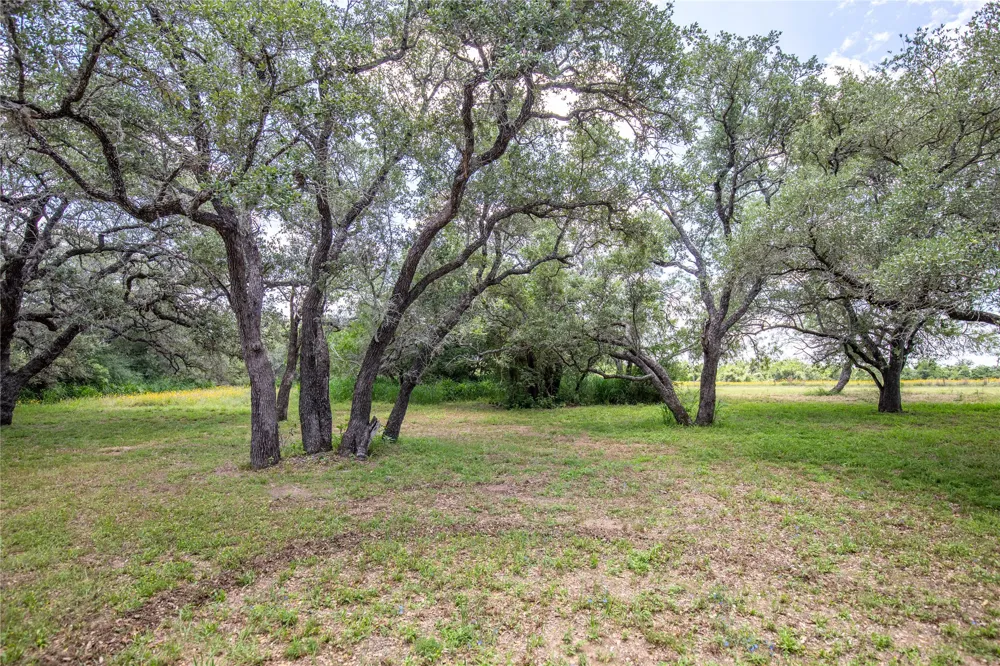 9393 Us Highway 87 E Westhoff, TX 77994