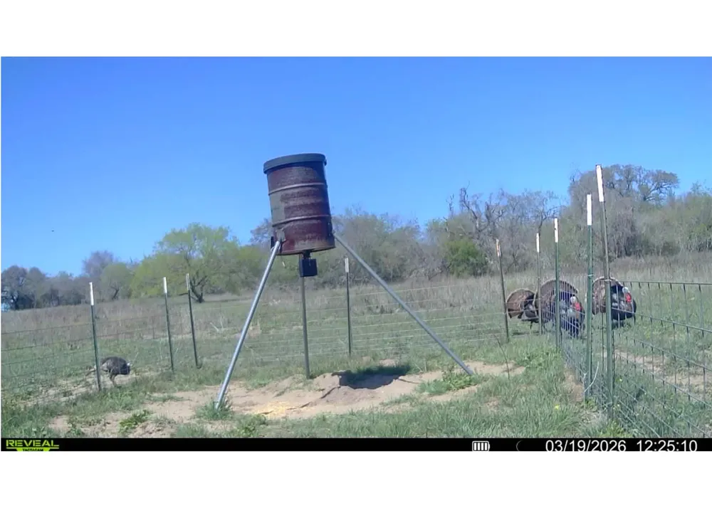 9393 Us Highway 87 E Westhoff, TX 77994