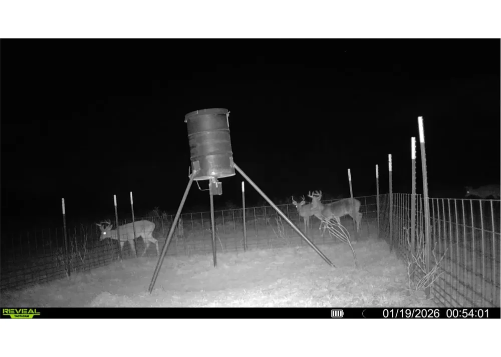 9393 Us Highway 87 E Westhoff, TX 77994