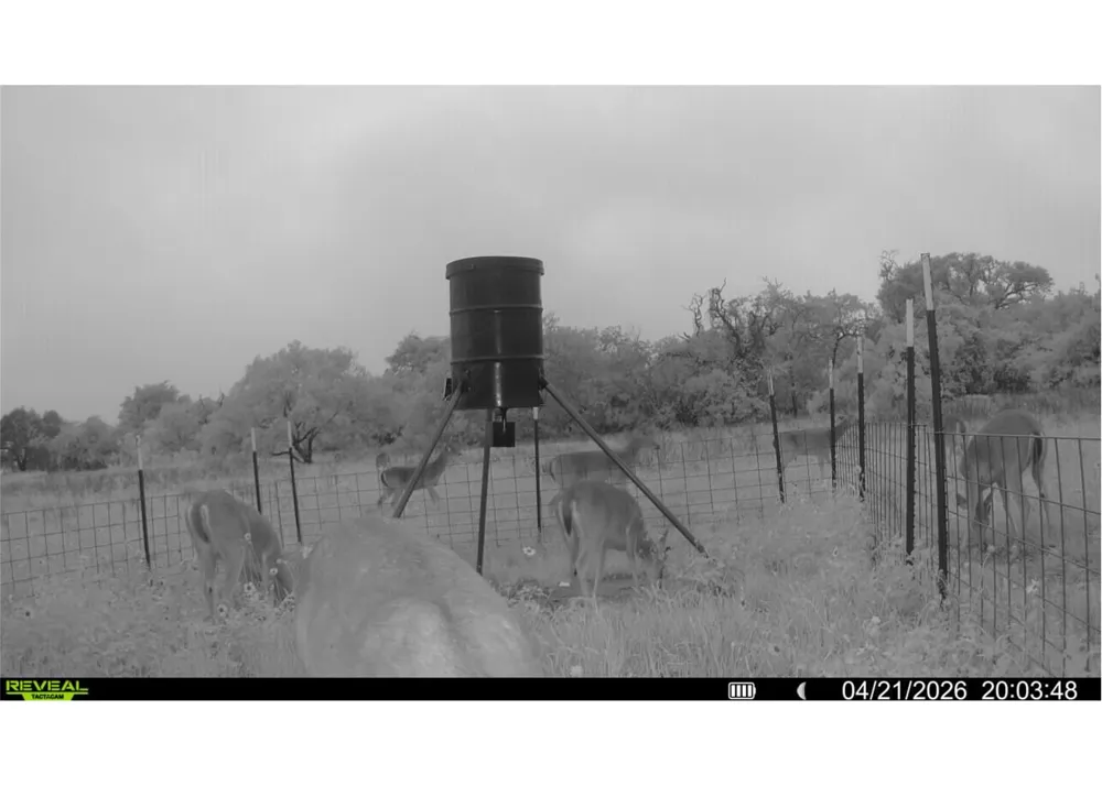 9393 Us Highway 87 E Westhoff, TX 77994