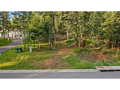 8125 Bannock Drive