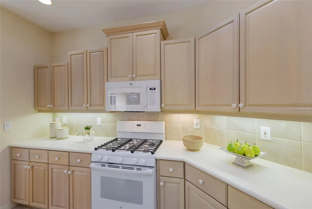 8005 WATERVIEW BOULEVARD Lakewood Ranch, FL 34202
