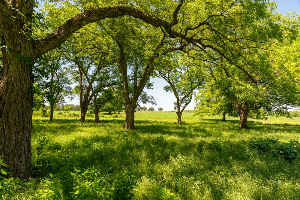 400 619 Spur Elgin, TX 78621