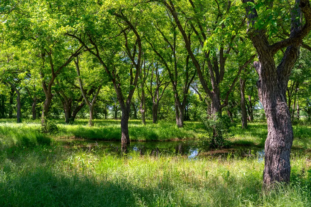 400 619 Spur Elgin, TX 78621