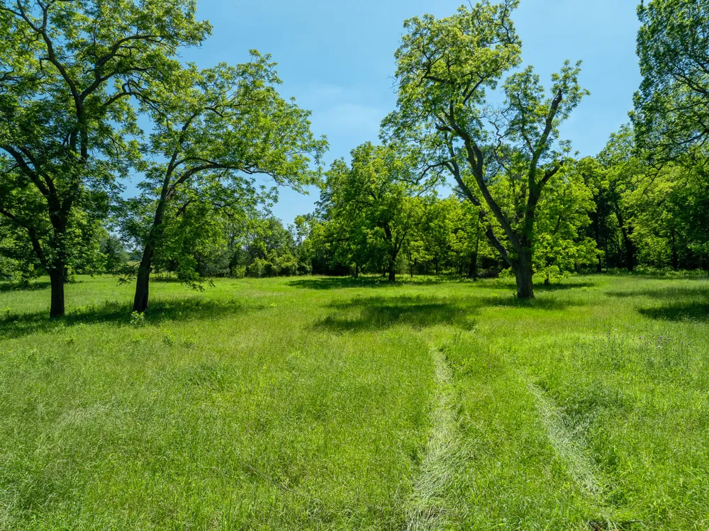 400 619 Spur Elgin, TX 78621