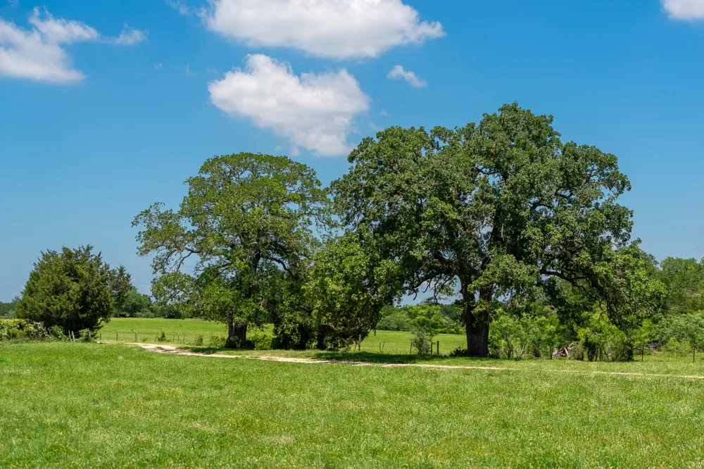 400 619 Spur Elgin, TX 78621