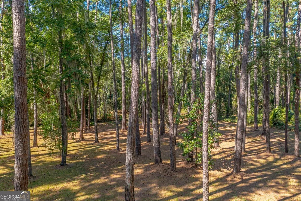1288 Old Cane Mill DR SE Darien, GA 31305
