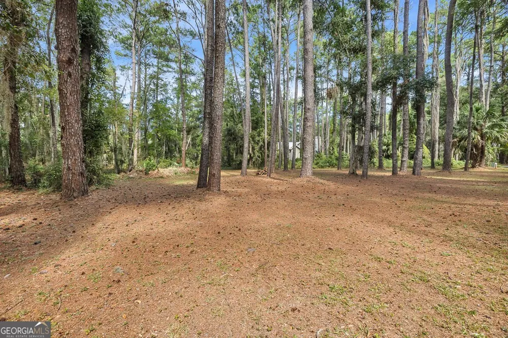 1288 Old Cane Mill DR SE Darien, GA 31305