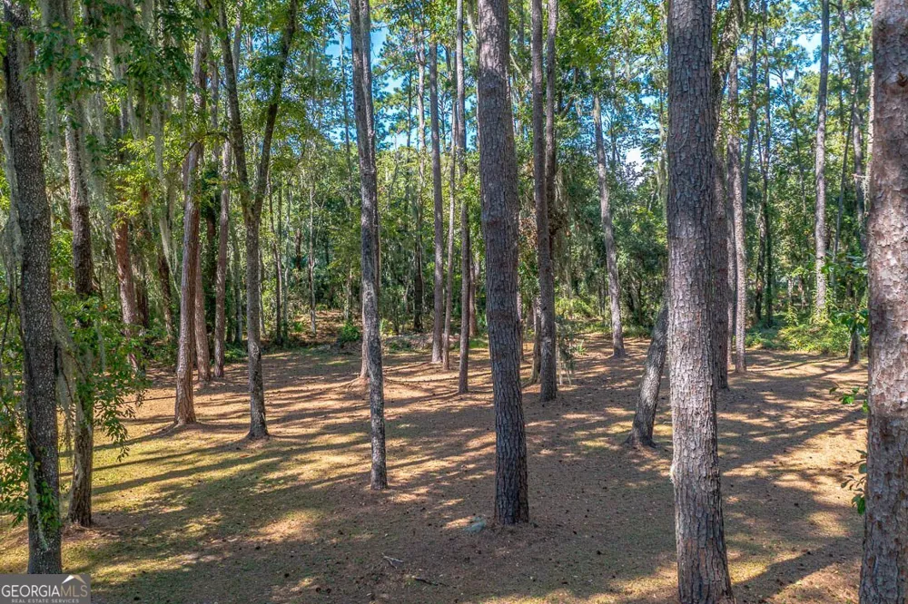 1288 Old Cane Mill DR SE Darien, GA 31305