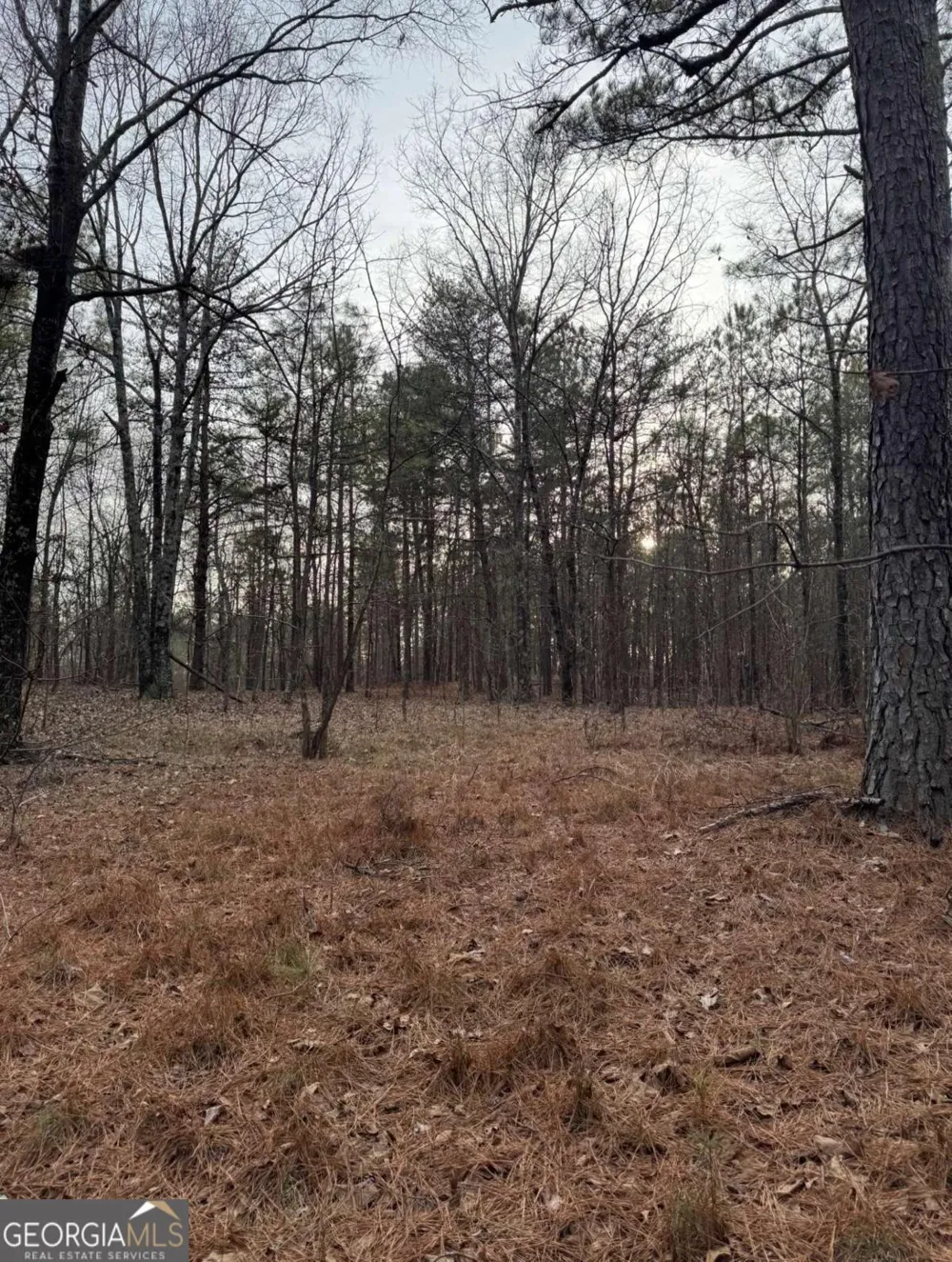 3744 Morton Bend RD Rome, GA 30161