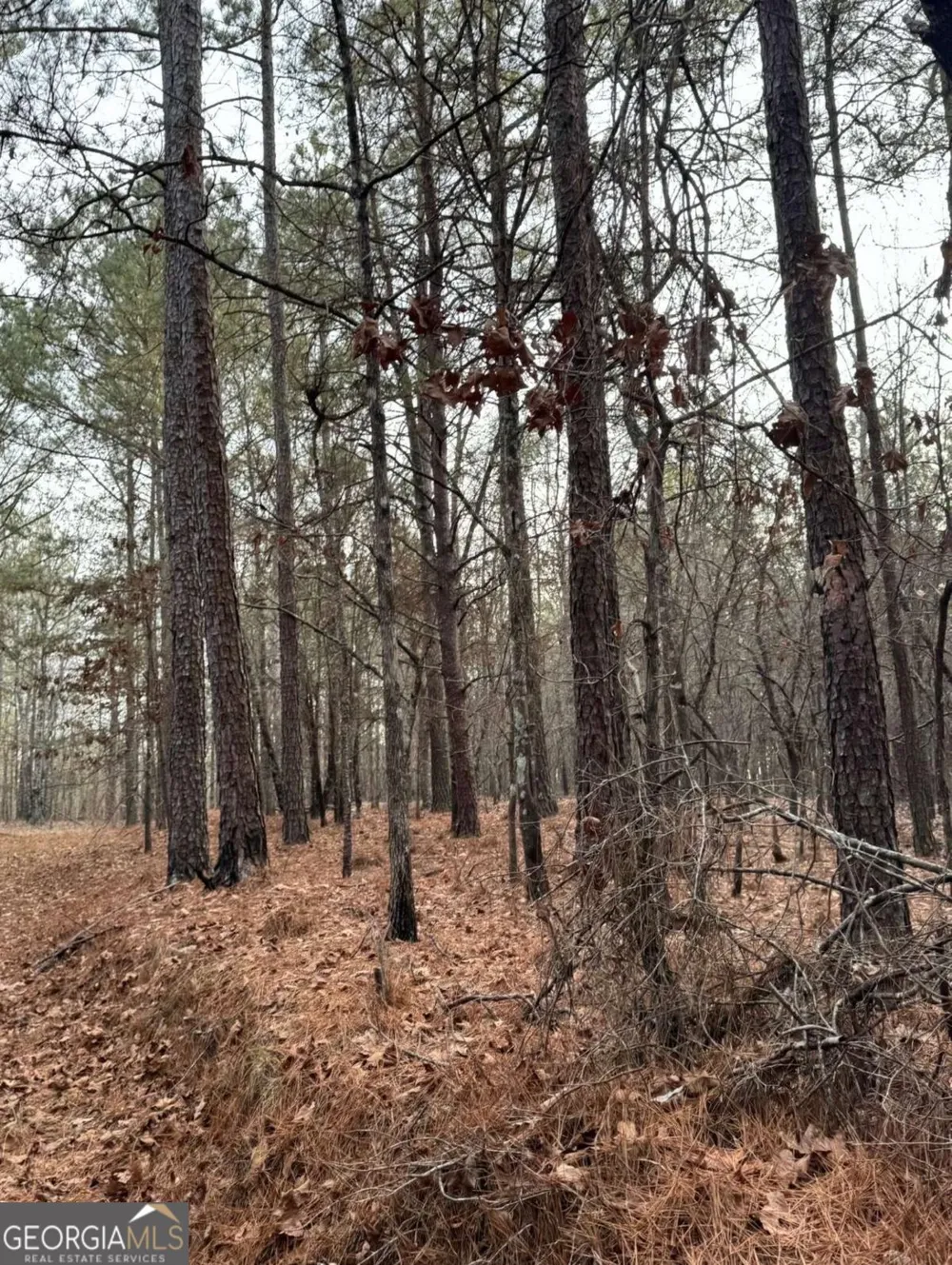 3744 Morton Bend RD Rome, GA 30161
