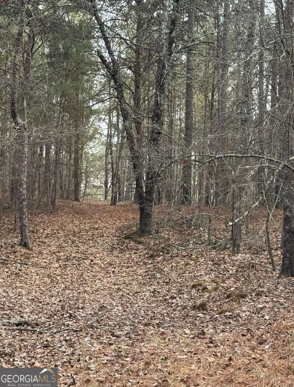 3744 Morton Bend RD Rome, GA 30161