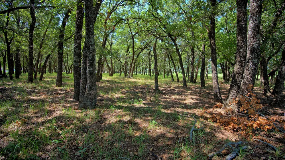 8752 Fm 1749 Sunset, TX 76270