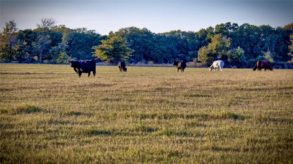 8752 Fm 1749 Sunset, TX 76270