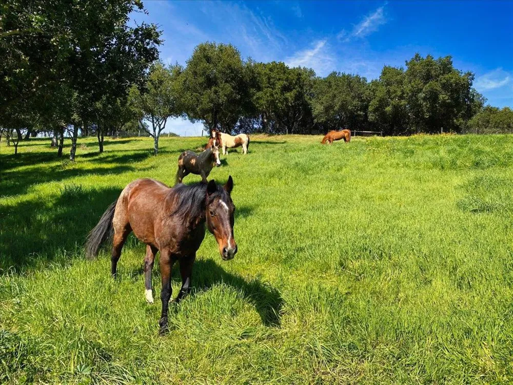14411 Shannon Road Los Gatos, CA 95032