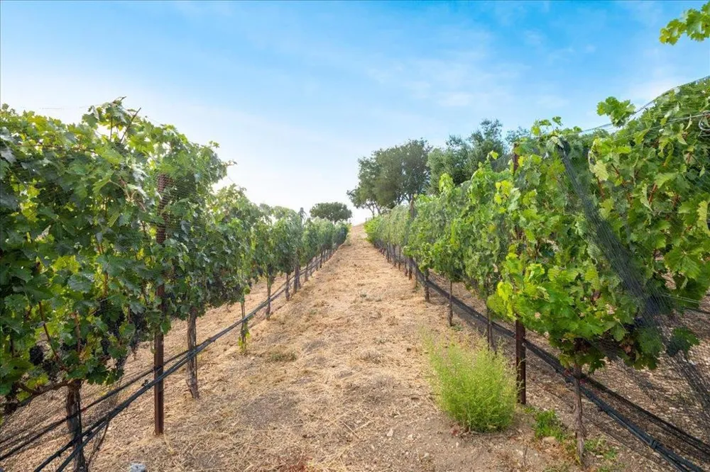 14411 Shannon Road Los Gatos, CA 95032