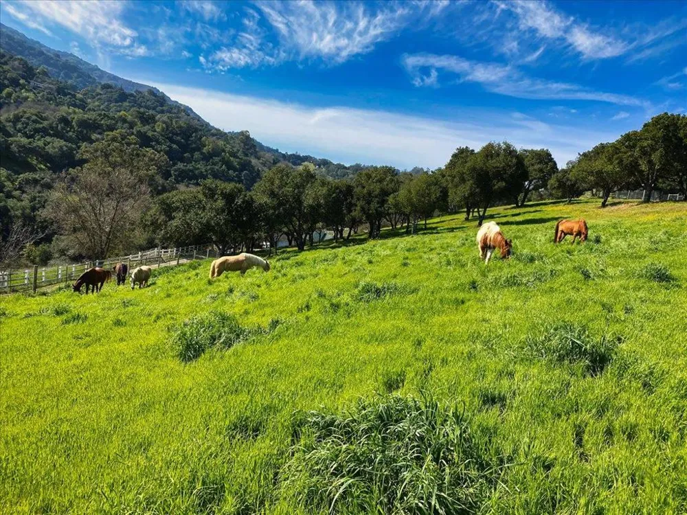 14411 Shannon Road Los Gatos, CA 95032