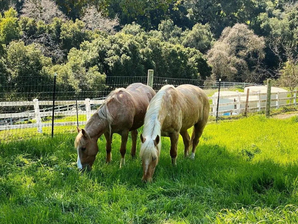 14411 Shannon Road Los Gatos, CA 95032