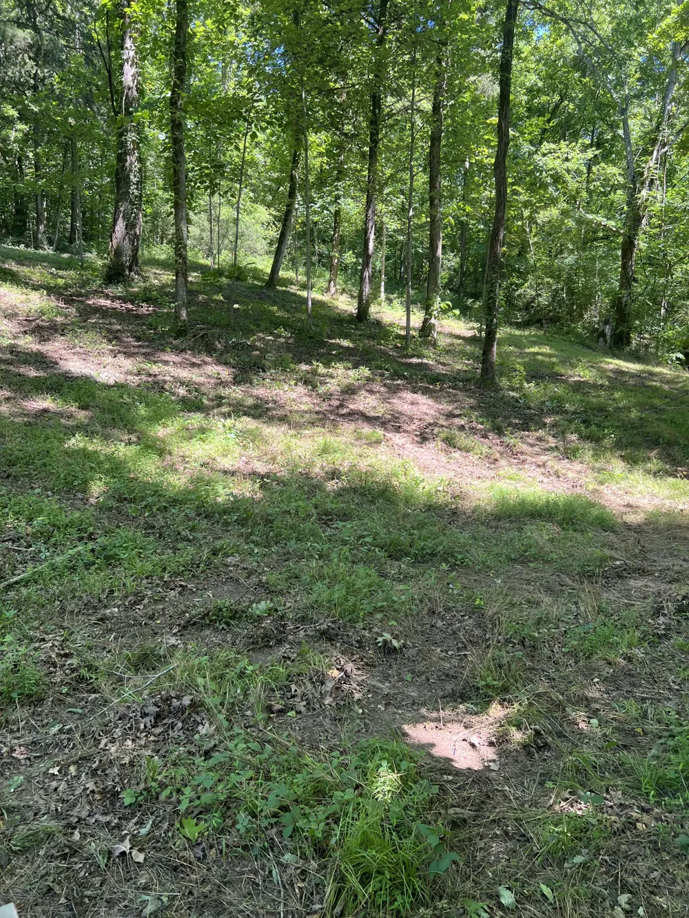 0 Horseshoe Bend Ln Elmwood, TN 38560