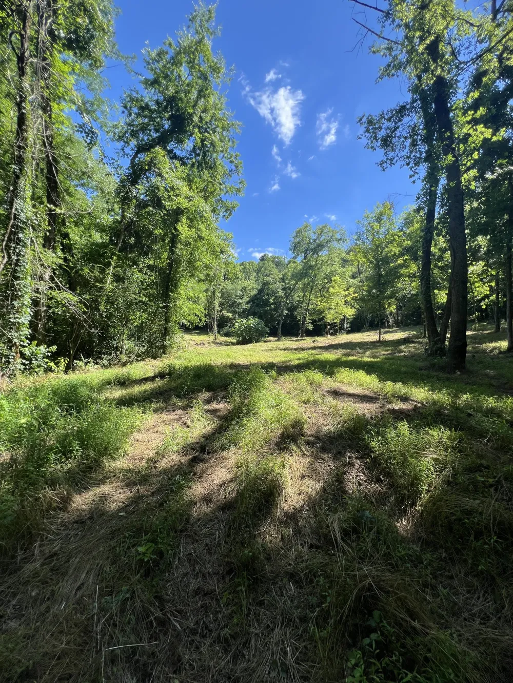 0 Horseshoe Bend Ln Elmwood, TN 38560