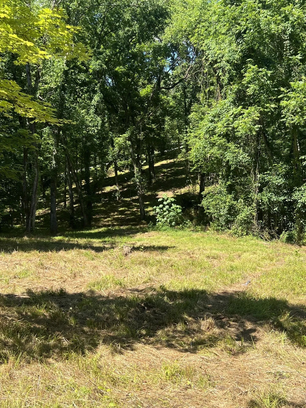 0 Horseshoe Bend Ln Elmwood, TN 38560