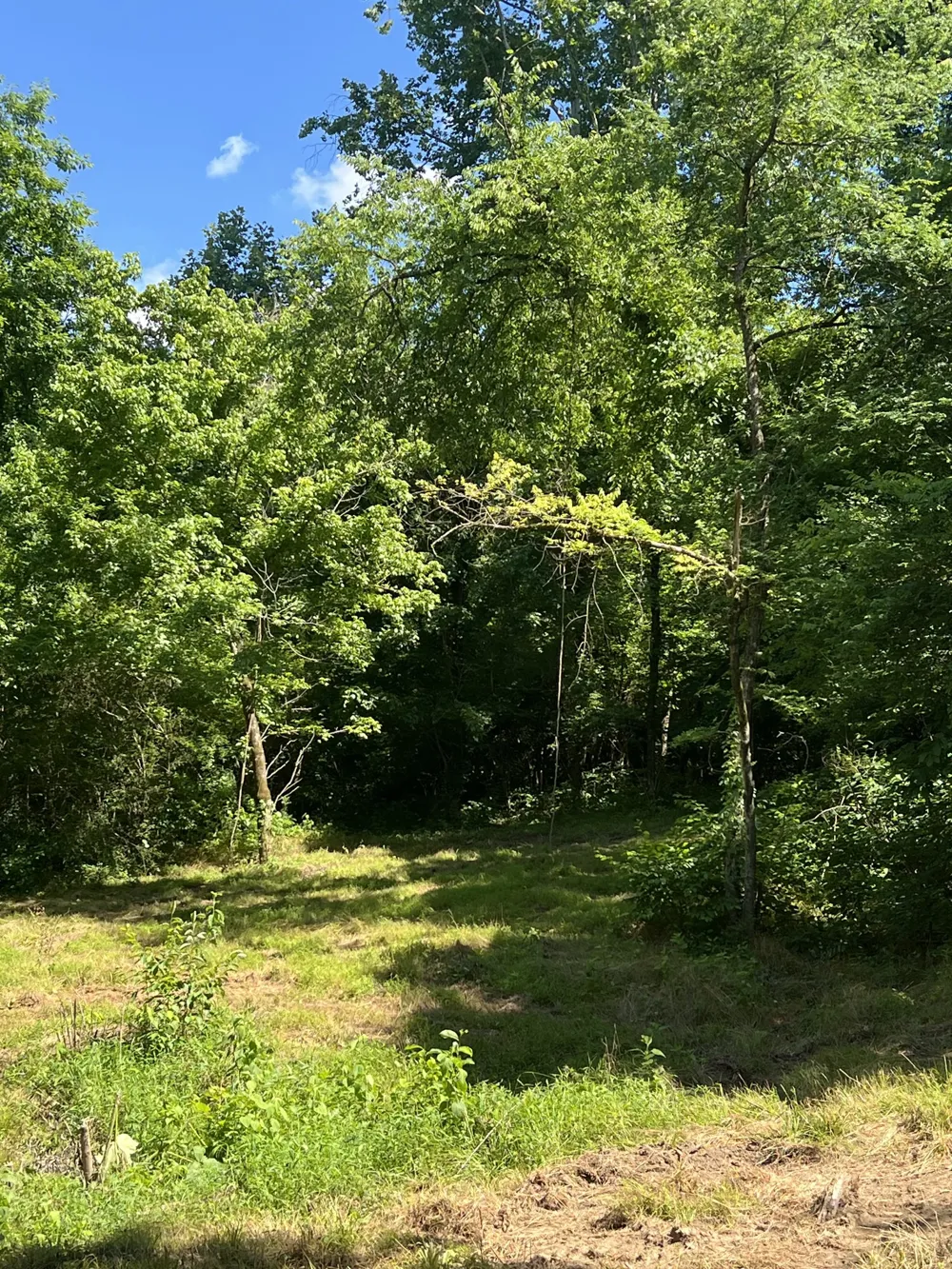 0 Horseshoe Bend Ln Elmwood, TN 38560