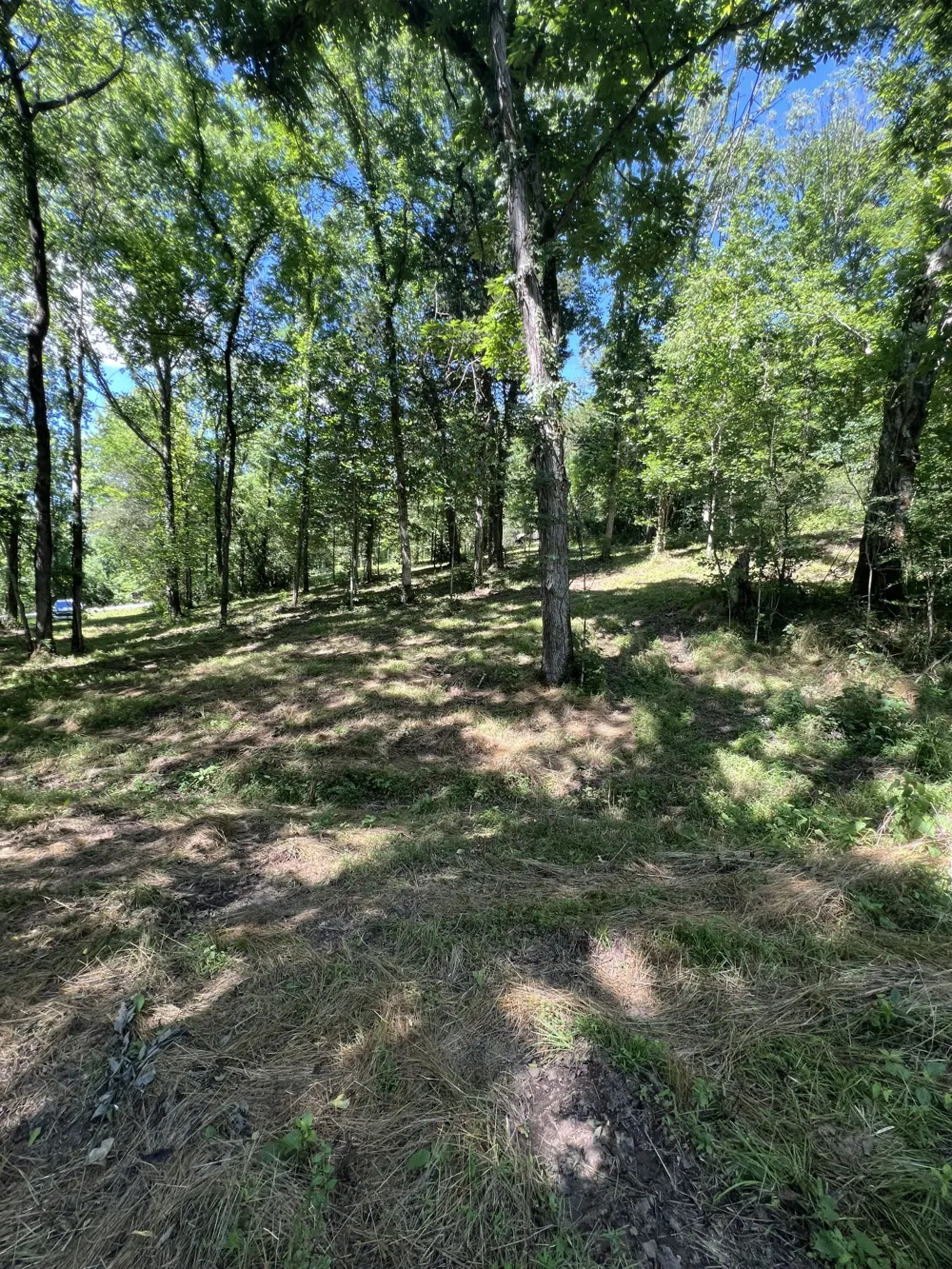 0 Horseshoe Bend Ln Elmwood, TN 38560