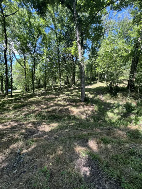 0 Horseshoe Bend Ln