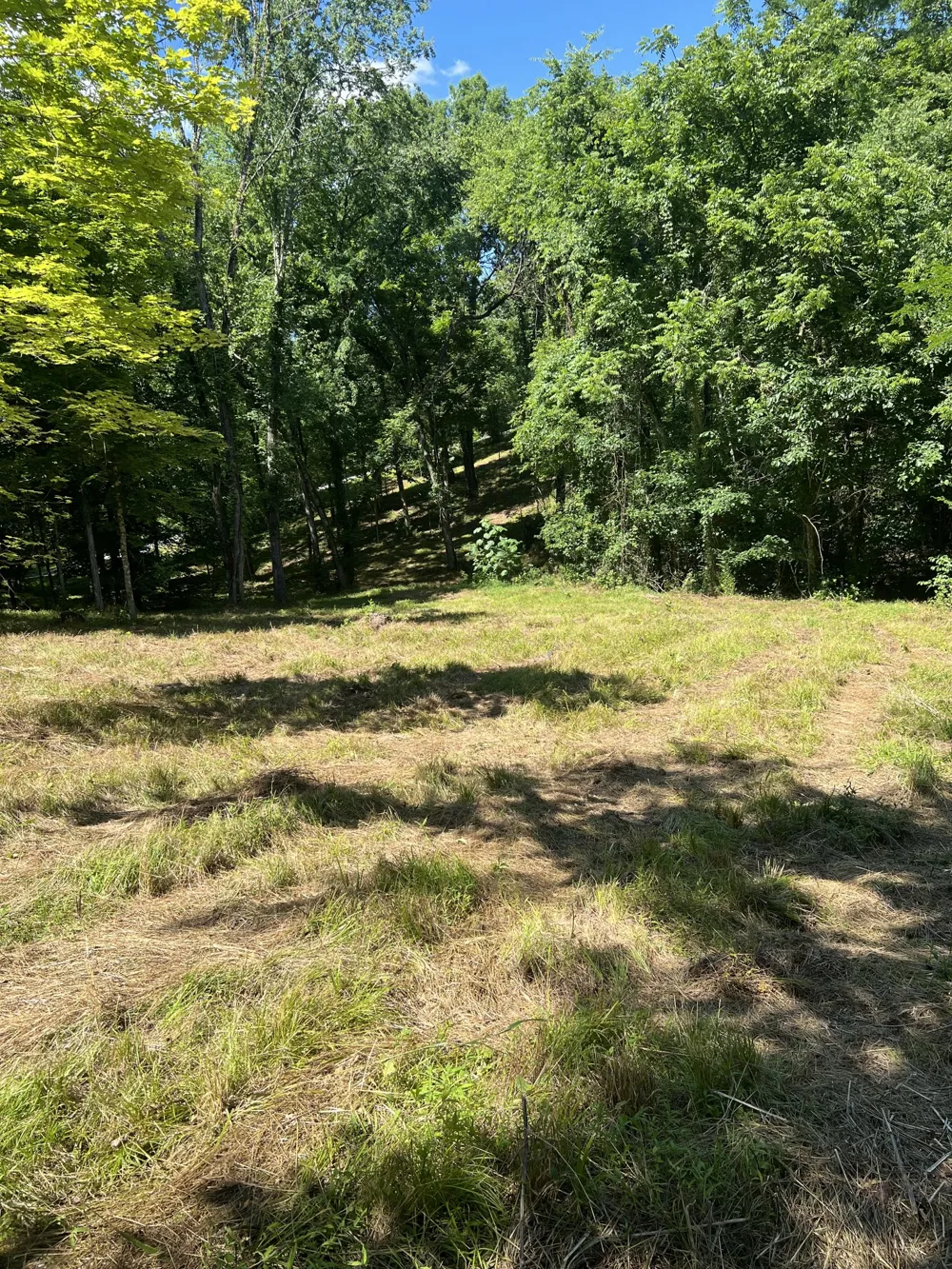 0 Horseshoe Bend Ln Elmwood, TN 38560