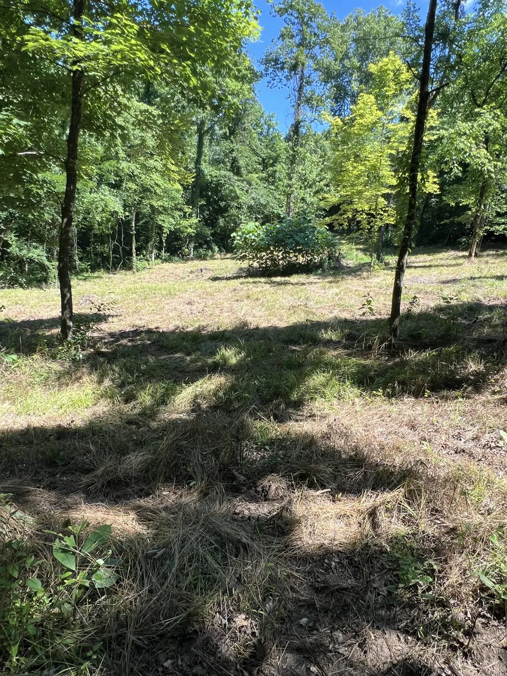 0 Horseshoe Bend Ln Elmwood, TN 38560