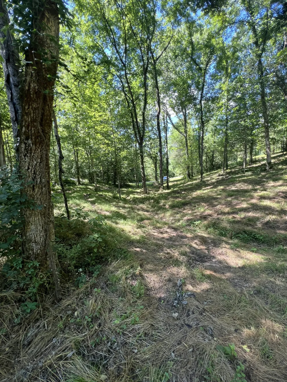 0 Horseshoe Bend Ln Elmwood, TN 38560