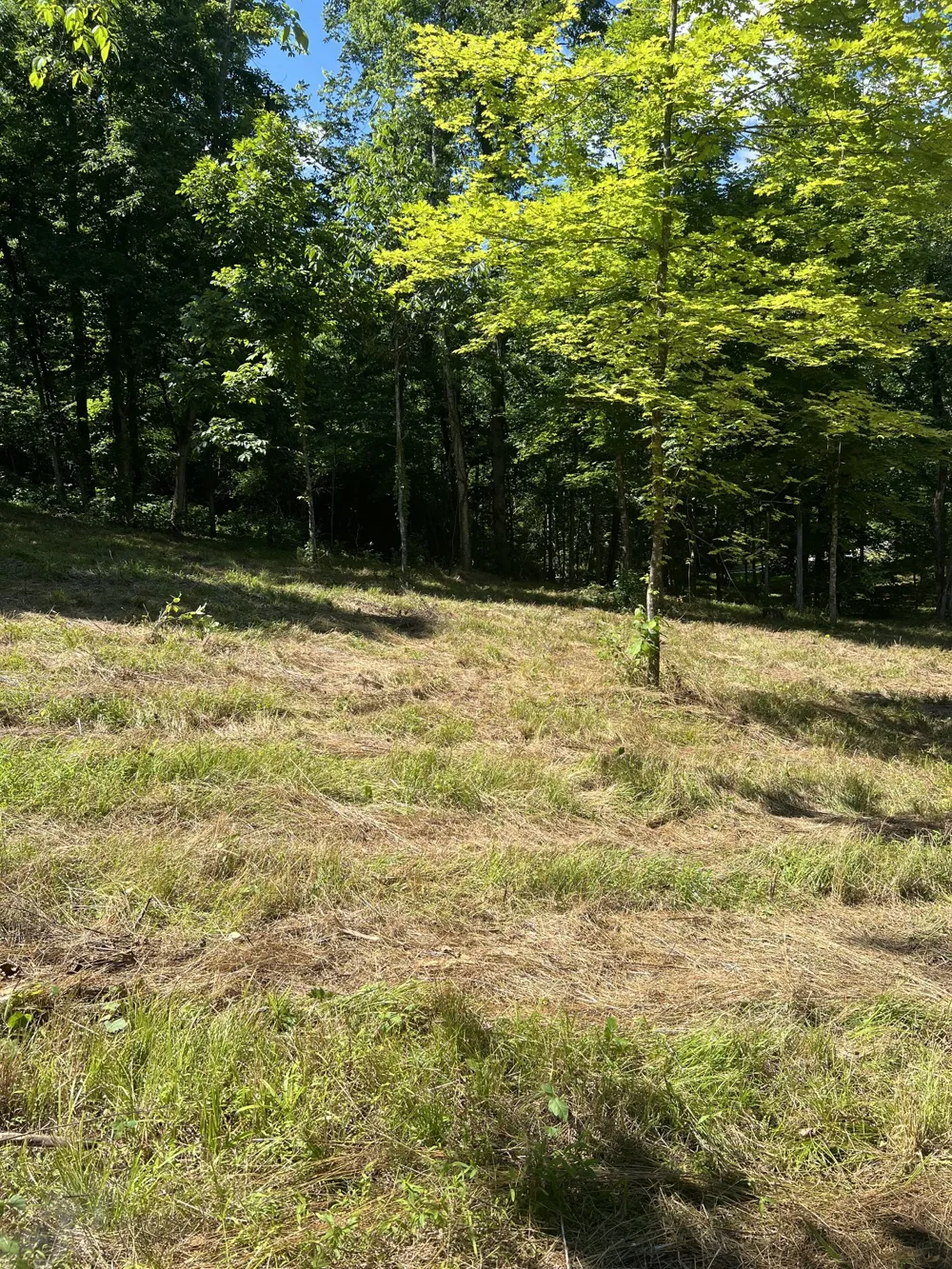 0 Horseshoe Bend Ln Elmwood, TN 38560
