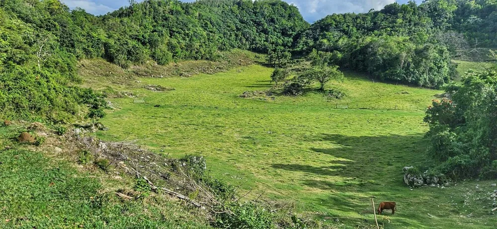 Carr 626 BO CALICHOZA Arecibo, PR 00613