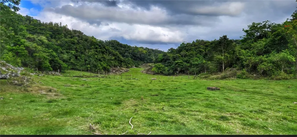 Carr 626 BO CALICHOZA Arecibo, PR 00613