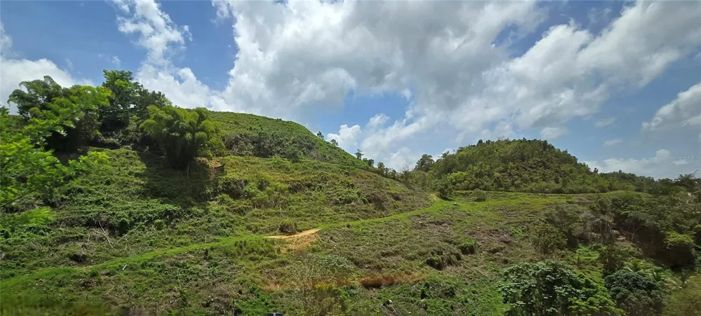 Carr 626 BO CALICHOZA Arecibo, PR 00613