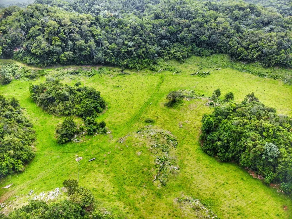 Carr 626 BO CALICHOZA Arecibo, PR 00613